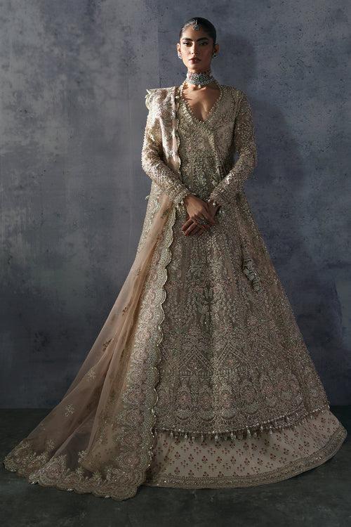 Pakistani Maxi Dress Collection | Long Wedding Dresses Online  Page 2   Pakistani Designer Dresses