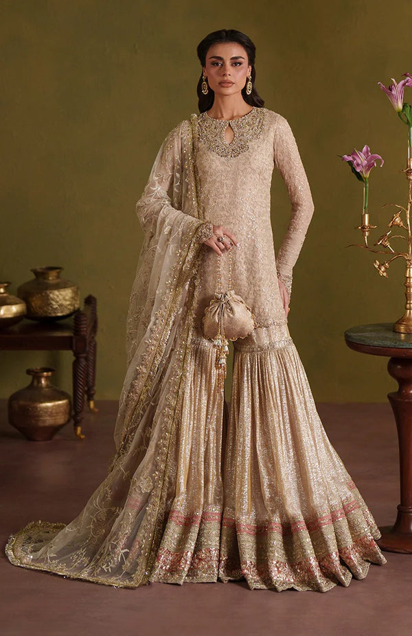 Pakistani Indian Wedding Dresses-Bridal, Nikkah, party, mehndi USA UK – Pakistani Designer Dresses