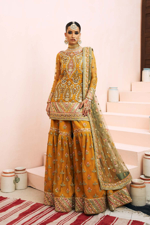 Jahanara Begum Dress pakistani indian wedding formal party outfits