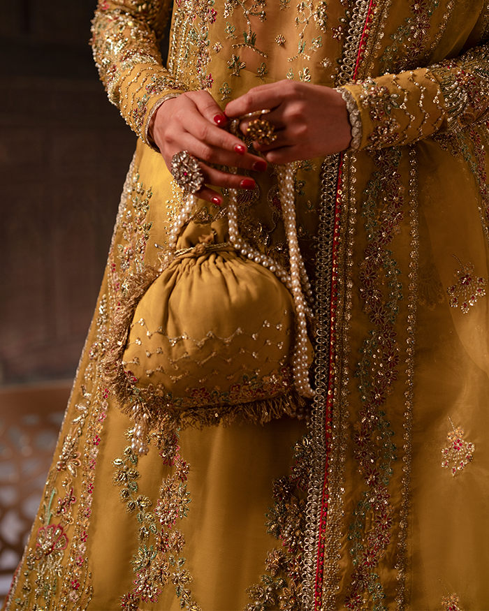 Bago Rani Bano Rani – Pakistani Designer Dresses