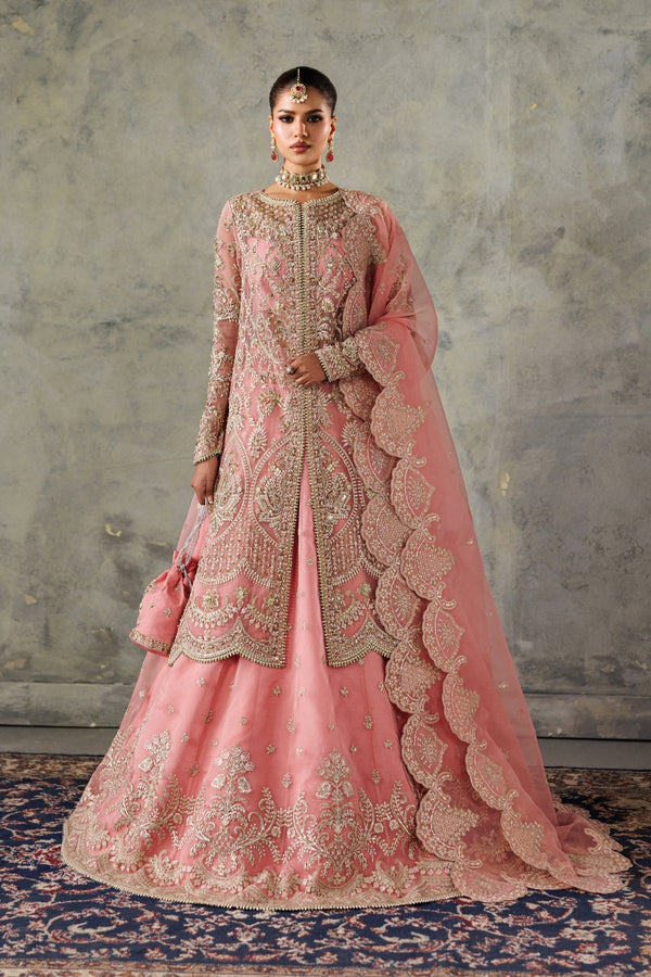 Buy Nikkah Dresses Online | Pakistani Bridal & Nikkah Wear  Pakistani  Designer Dresses