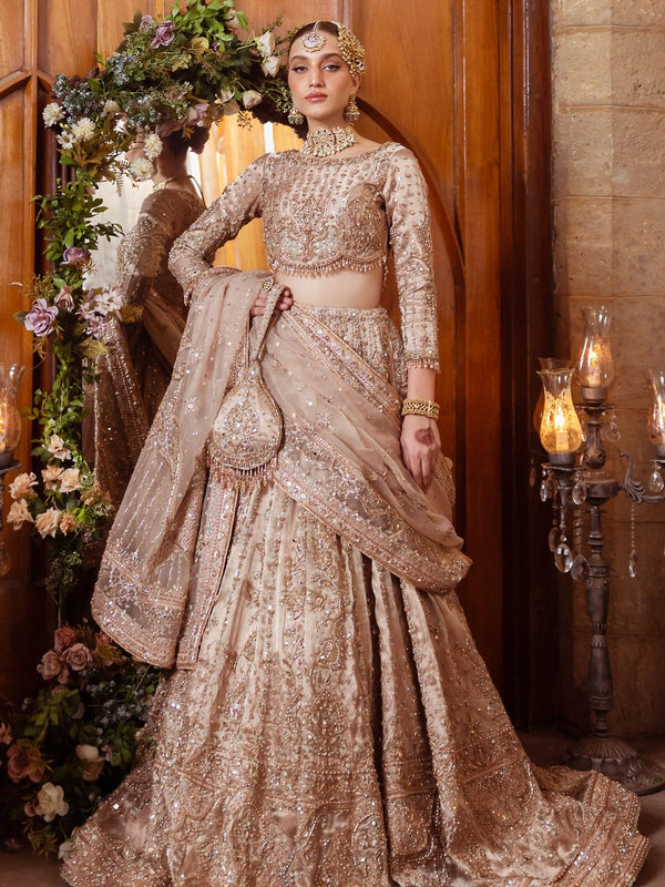 Pakistani Bridal Dresses Online USA