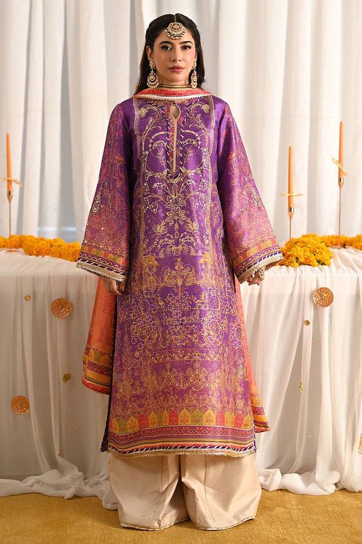 Wania pakistani indian wedding party dress eid collection