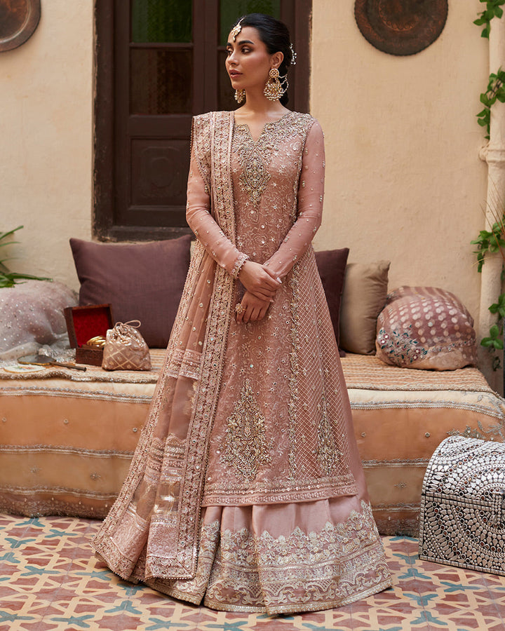 Zeena Pakistani indian wedding bridal dresses mehndi nikkah outfits, USA UK GERMANY EUROPE CANADA AUSTRALIA, designer wedding dress, bridesmaid dresses trending, luxury guest clothes, engagement reception barat walima suit gift for her