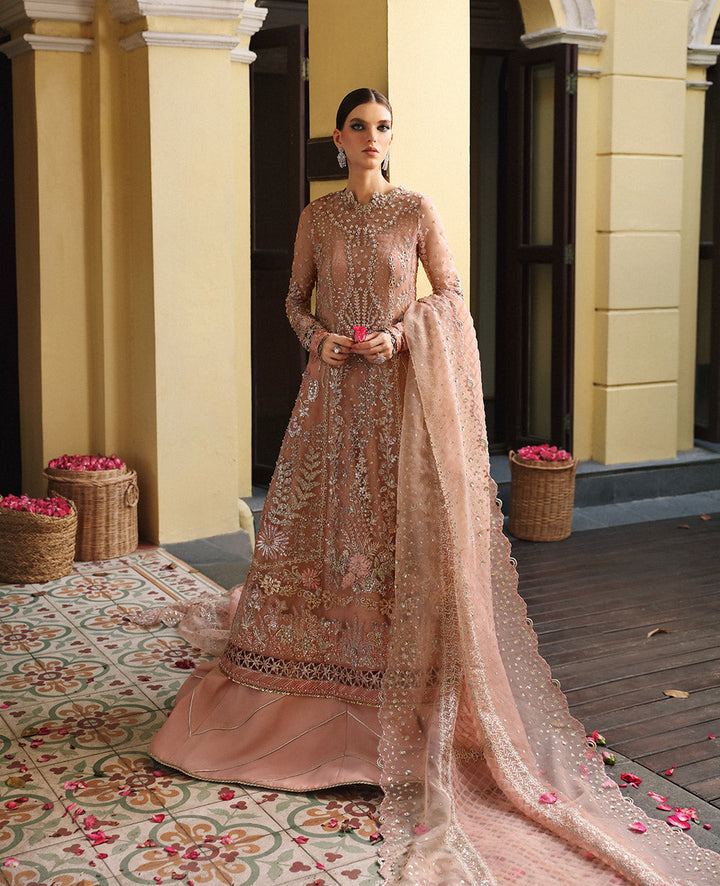 Pakistani Dress Rose Gold Asian Dress Baia Pakistani Indian