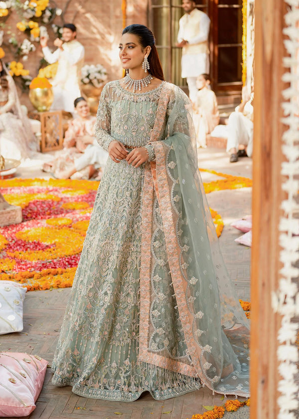 Pakistani indian wedding bridal dress, mehndi nikkah outfit guest clothes