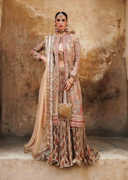 Luxury Pakistani wedding dress open gown crush sharara Naghma